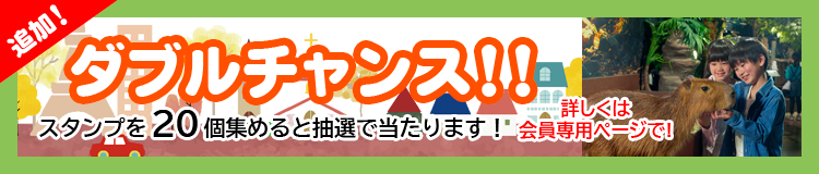 ダブルチャンス